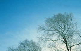 正版软件授权的手机版ddos攻击器