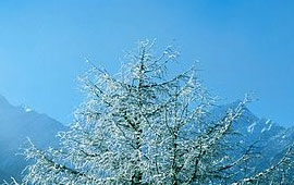 安卓ddos攻击工具